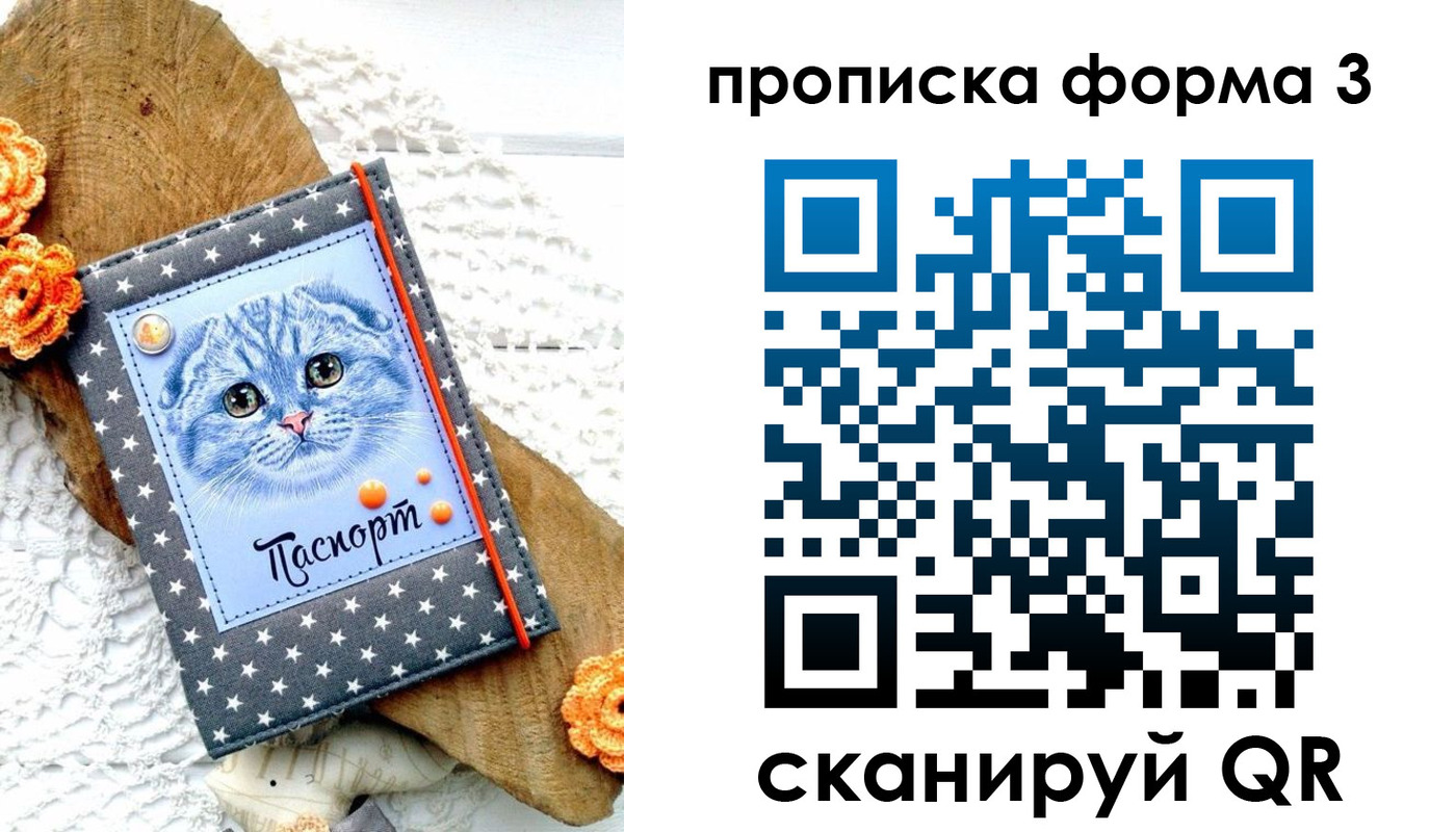 прописка поиск в Мамадыше